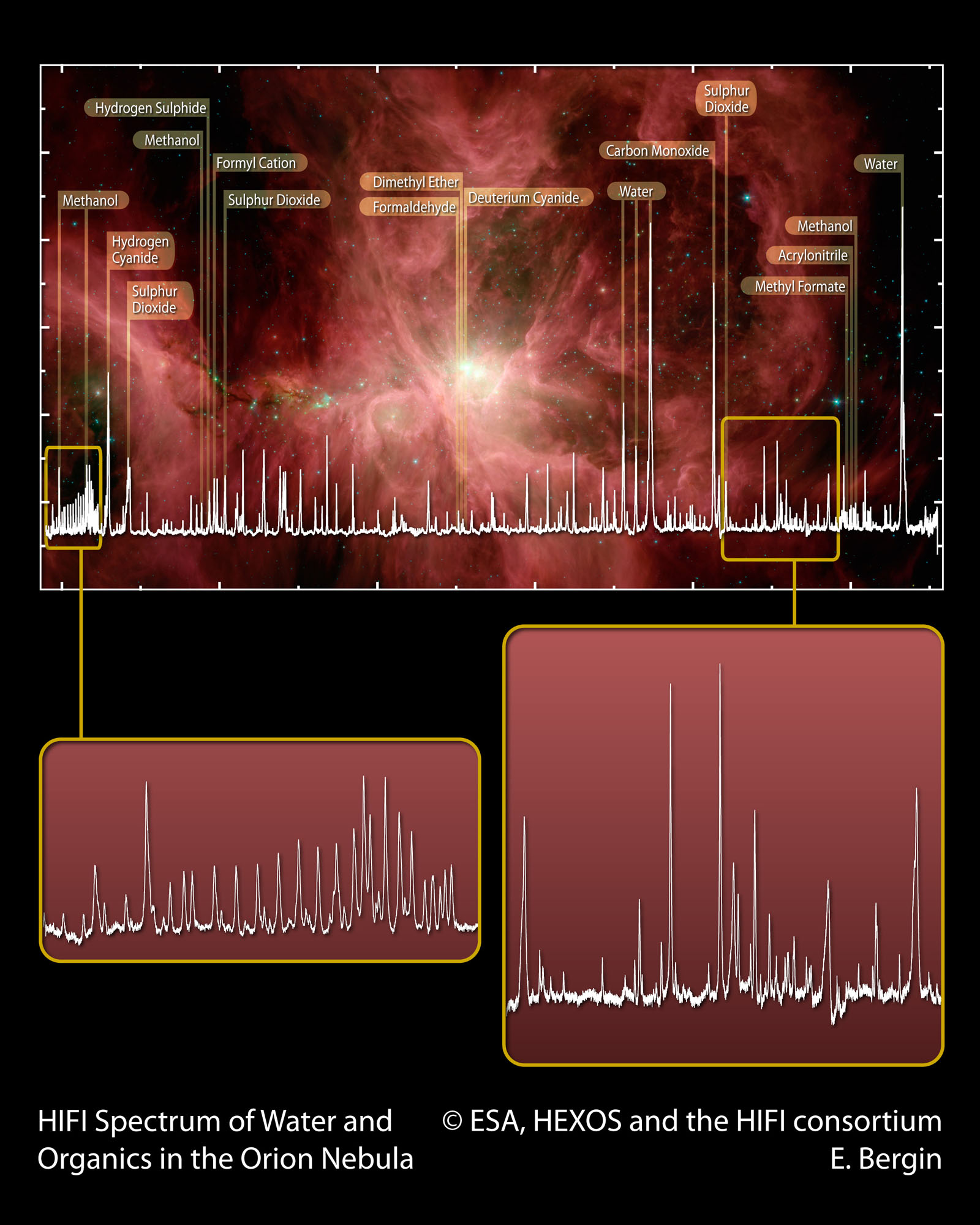 HIFI spectral scan of Orion (blowouts)