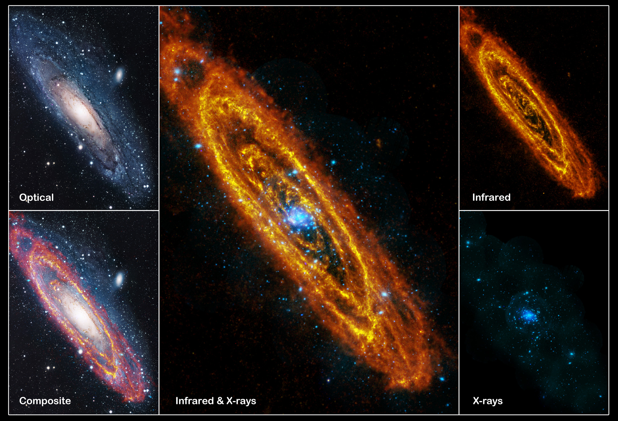 Composite image of M31 (Andromeda Galaxy). Credit: ESA/Herschel/PACS/SPIRE/J. Fritz, U. Gent (Infrared); ESA/XMM-Newton/EPIC/W. Pietsch, MPE (X-Ray); R. Gendler (Optical)