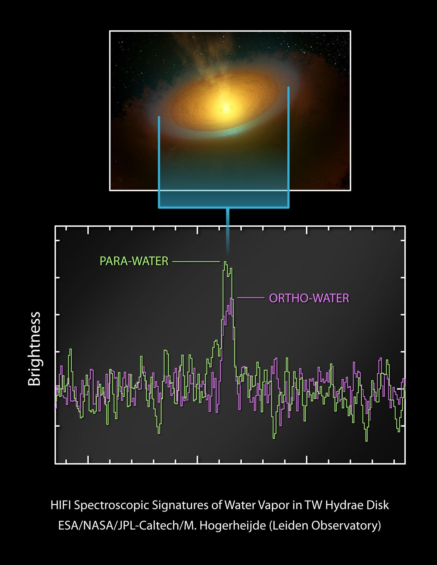 Artist's impression and spectrum of the TW Hydrae protoplanetary disc. Copyright: ESA/NASA/JPL-Caltech/M. Hogerheijde (Leiden Observatory) Artist's impression and spectrum of the TW Hydrae protoplanetary disc. Copyright: ESA/NASA/JPL-Caltech/M. Hogerheijde (Leiden Observatory)