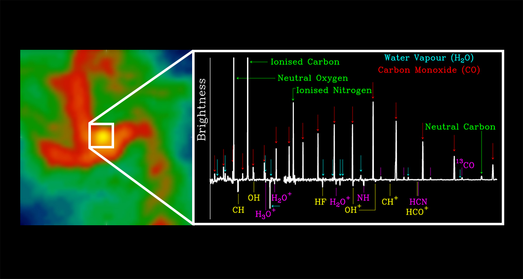 Left panel: Radio-wavelength view of the gas at the centre of the Galaxy. Right panel: A spectroscopic view of the Galactic Centre, obtained with Herschel, shows the rich variety of molecules detected in this region. Credit: Radio-wavelength image: National Radio Astronomy Observatory/Very Large Array (Courtesy of C. Lang); Spectrum: ESA/Herschel/PACS, SPIRE/J. Goicoechea et al. (2013) Left panel: Radio-wavelength view of the gas at the centre of the Galaxy. Right panel: A spectroscopic view of the Galactic Centre, obtained with Herschel, shows the rich variety of molecules detected in this region. Credit: Radio-wavelength image: National Radio Astronomy Observatory/Very Large Array (Courtesy of C. Lang); Spectrum: ESA/Herschel/PACS, SPIRE/J. Goicoechea et al. (2013)