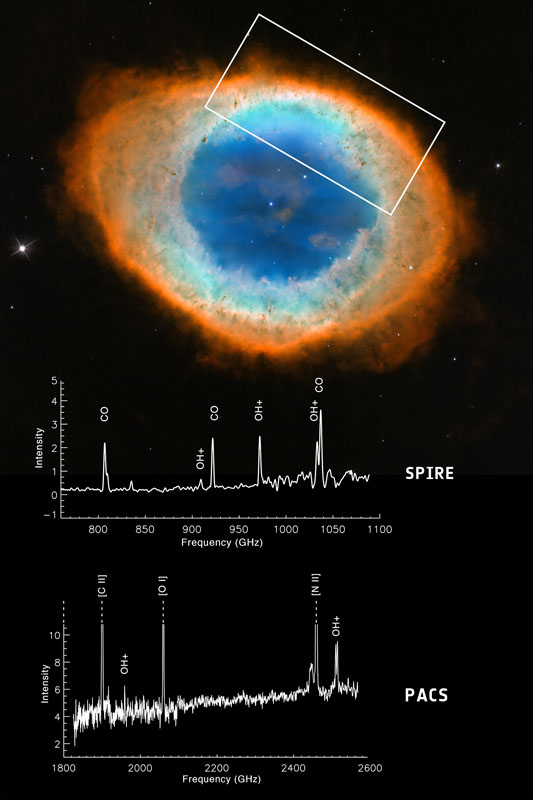 Water-building molecule in Ring Nebula
