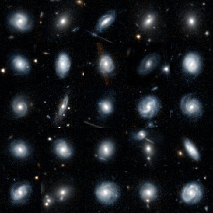 A mosaic of fourty examples of Euclid galaxies to classify are shown in this image.