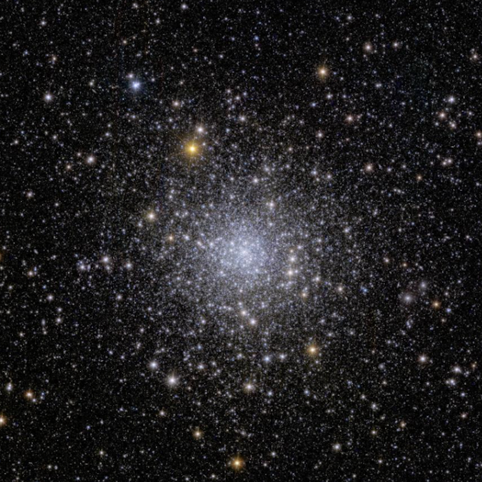 Euclid's view of globular cluster NGC 6397